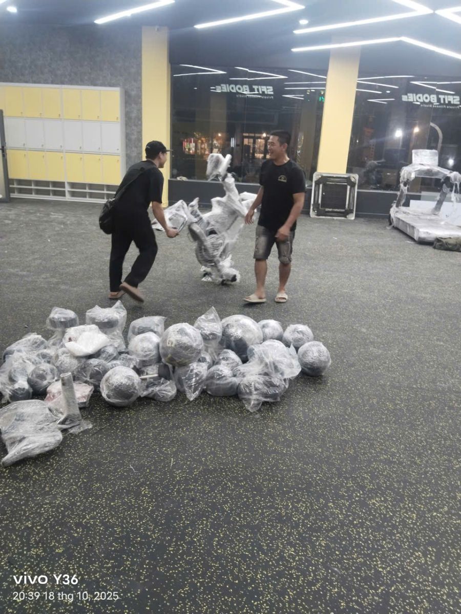 Vận Chuyển Phòng Gym Tân Phú | Bốc Xếp Tân Phú Giá Rẻ