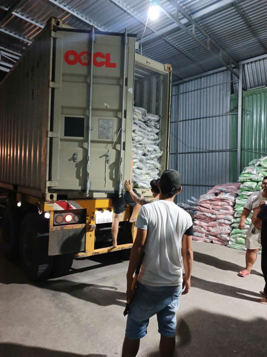 bốc xếp nhanh chóng tại Hóc Môn quy trình chuyên nghiệp